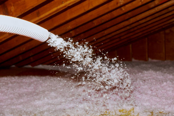 Best DIY Insulation Kits and Guidance in Gilbert, IA