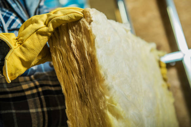 Best DIY Insulation Kits and Guidance in Gilbert, IA